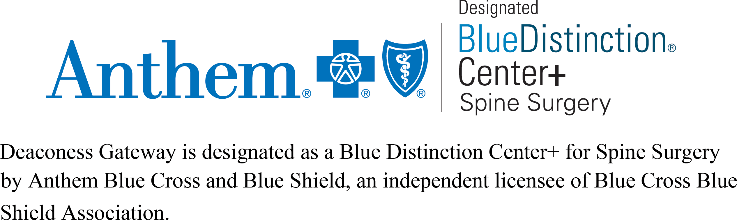 Anthem Blue Distinction Center+ Spine Surgery logo Anthem Blue Distinction Center+ Spine Surgery logo