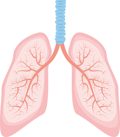 Deaconess - Screening for Lung Cancer Saves Lives