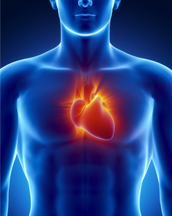 Heart Failure research